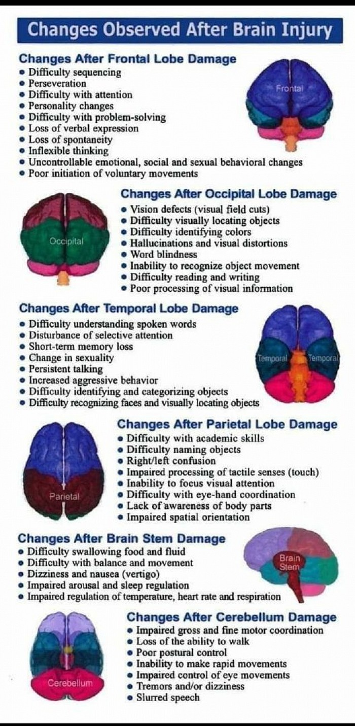 Changes observed after brain injury